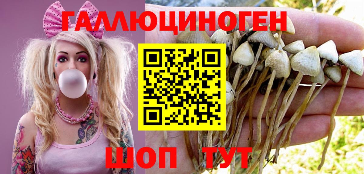 Протвино  Псилоцибиновые грибы Magic Shrooms  Галлюциногенные грибы Psilocybine cubensis  Вход с VPN 